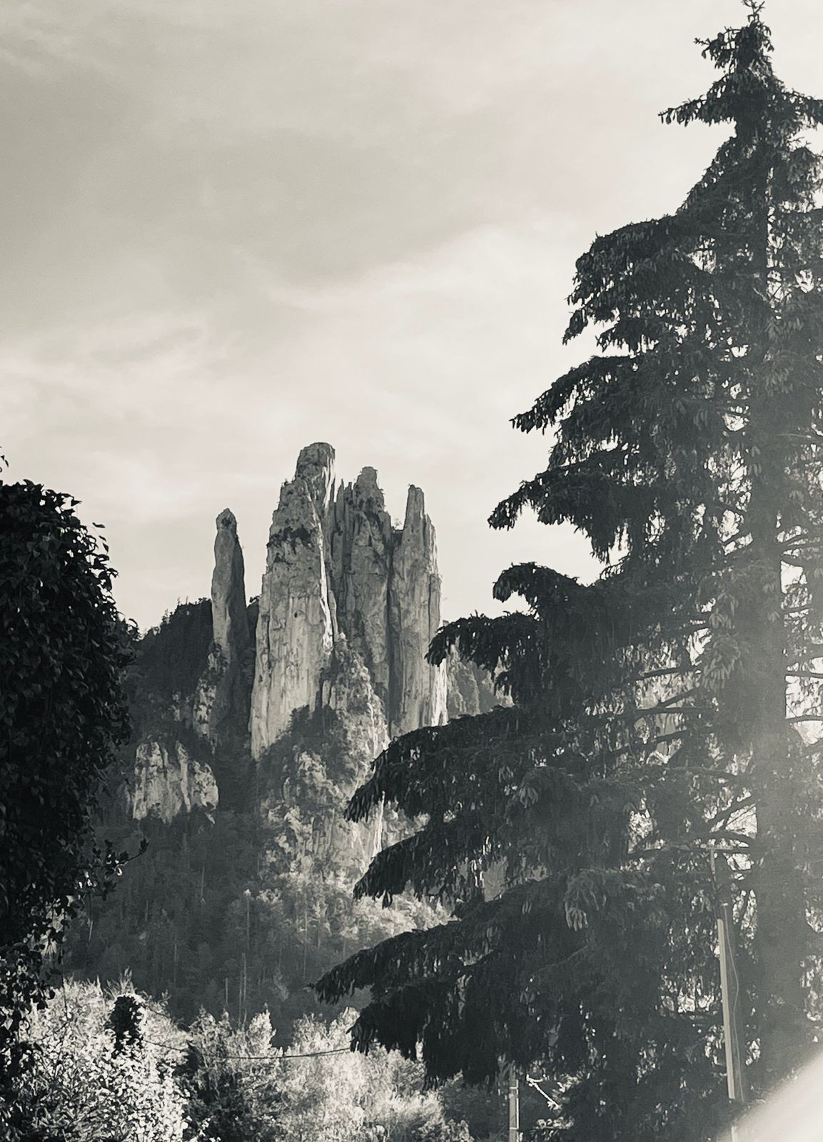Les Trois Pucelles en noir et blanc, entre les sapins de Saint-Nizier